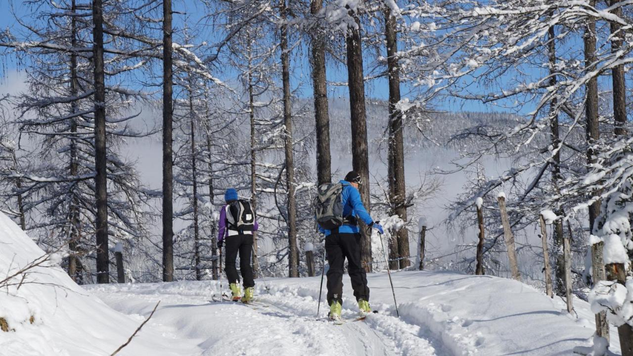 Alpensportlodge 阿尔滕马克特蓬高 外观 照片