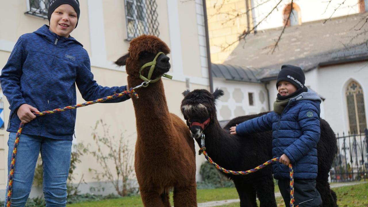Alpensportlodge 阿尔滕马克特蓬高 外观 照片